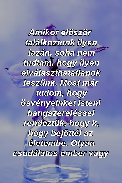 Amikor először találkoztunk ilyen lazán, soha nem tudtam, hogy ilyen elválaszthatatlanok leszünk. Most már tudom, hogy ösvényeinket isteni hangszereléssel rendeztük, hogy k, hogy bejöttél az életembe. Olyan csodálatos ember vagy