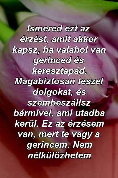 Ismered ezt az érzést, amit akkor kapsz, ha valahol van gerinced és keresztapád. Magabiztosan teszel dolgokat, és szembeszállsz bármivel, ami utadba kerül. Ez az érzésem van, mert te vagy a gerincem. Nem nélkülözhetem