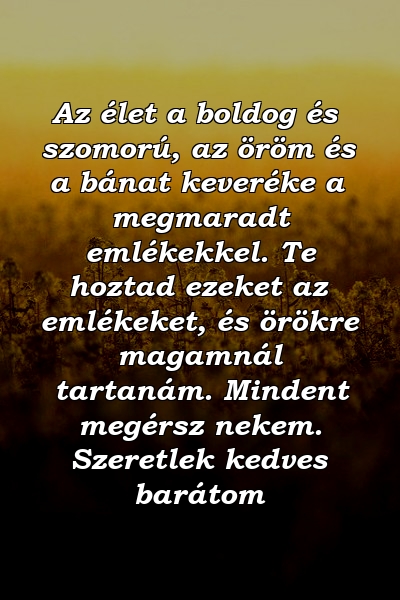 Az élet a boldog és szomorú, az öröm és a bánat keveréke a megmaradt emlékekkel. Te hoztad ezeket az emlékeket, és örökre magamnál tartanám. Mindent megérsz nekem. Szeretlek kedves barátom