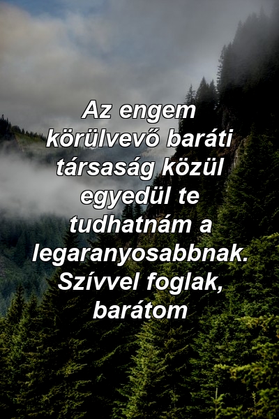 Az engem körülvevő baráti társaság közül egyedül te tudhatnám a legaranyosabbnak. Szívvel foglak, barátom