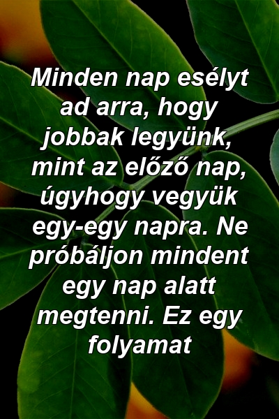 Minden nap esélyt ad arra, hogy jobbak legyünk, mint az előző nap, úgyhogy vegyük egy-egy napra. Ne próbáljon mindent egy nap alatt megtenni. Ez egy folyamat