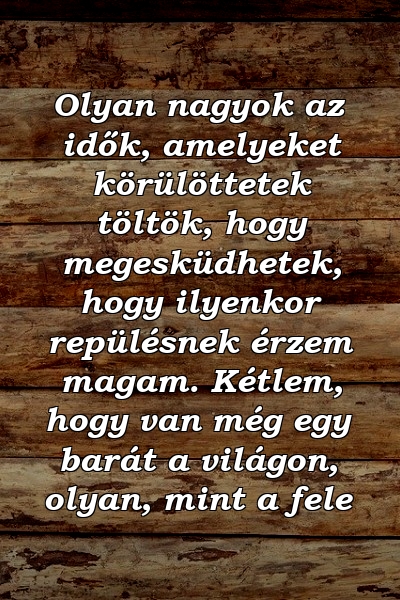 Olyan nagyok az idők, amelyeket körülöttetek töltök, hogy megesküdhetek, hogy ilyenkor repülésnek érzem magam. Kétlem, hogy van még egy barát a világon, olyan, mint a fele