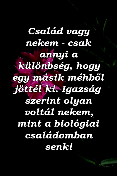 Család vagy nekem - csak annyi a különbség, hogy egy másik méhből jöttél ki. Igazság szerint olyan voltál nekem, mint a biológiai családomban senki