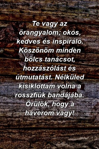 Te vagy az őrangyalom; okos, kedves és inspiráló. Köszönöm minden bölcs tanácsot, hozzászólást és útmutatást. Nélküled kisiklottam volna a rosszfiúk bandájába. Örülök, hogy a haverom vagy!