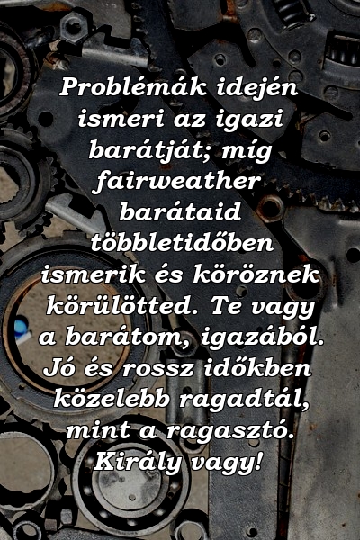 Problémák idején ismeri az igazi barátját; míg fairweather barátaid többletidőben ismerik és köröznek körülötted. Te vagy a barátom, igazából. Jó és rossz időkben közelebb ragadtál, mint a ragasztó. Király vagy!