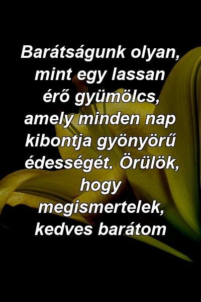 Barátságunk olyan, mint egy lassan érő gyümölcs, amely minden nap kibontja gyönyörű édességét. Örülök, hogy megismertelek, kedves barátom