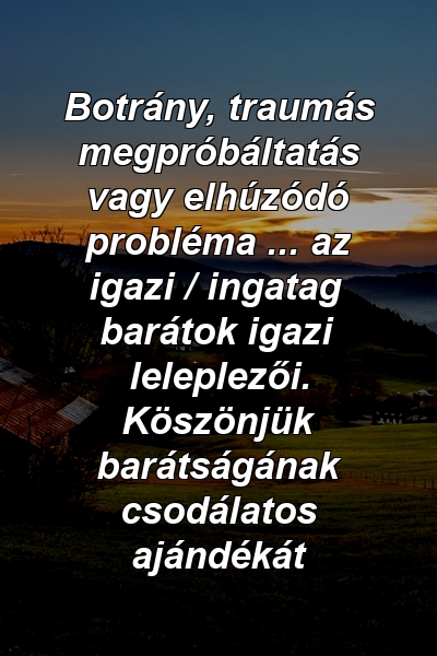 Botrány, traumás megpróbáltatás vagy elhúzódó probléma ... az igazi / ingatag barátok igazi leleplezői. Köszönjük barátságának csodálatos ajándékát