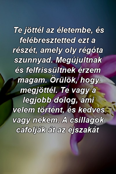 Te jöttél az életembe, és felébresztetted ezt a részét, amely oly régóta szunnyad. Megújultnak és felfrissültnek érzem magam. Örülök, hogy megjöttél. Te vagy a legjobb dolog, ami velem történt, és kedves vagy nekem. A csillagok cáfolják át az éjszakát