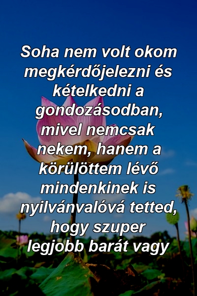 Soha nem volt okom megkérdőjelezni és kételkedni a gondozásodban, mivel nemcsak nekem, hanem a körülöttem lévő mindenkinek is nyilvánvalóvá tetted, hogy szuper legjobb barát vagy