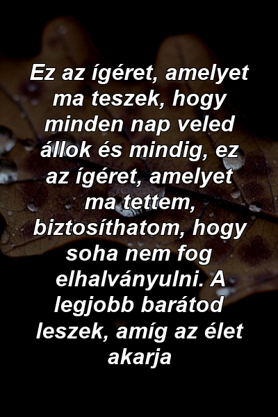 Ez az ígéret, amelyet ma teszek, hogy minden nap veled állok és mindig, ez az ígéret, amelyet ma tettem, biztosíthatom, hogy soha nem fog elhalványulni. A legjobb barátod leszek, amíg az élet akarja