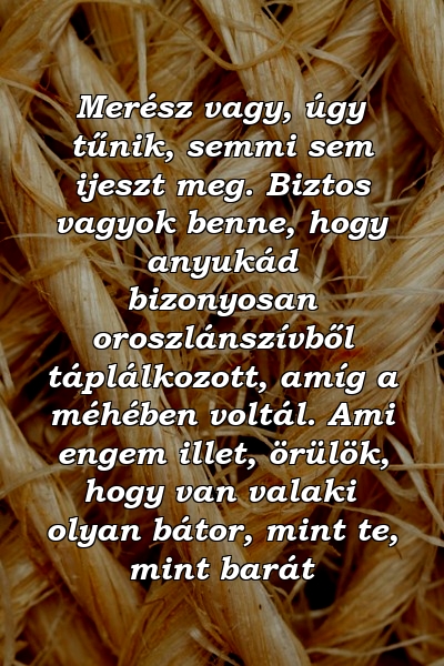 Merész vagy, úgy tűnik, semmi sem ijeszt meg. Biztos vagyok benne, hogy anyukád bizonyosan oroszlánszívből táplálkozott, amíg a méhében voltál. Ami engem illet, örülök, hogy van valaki olyan bátor, mint te, mint barát