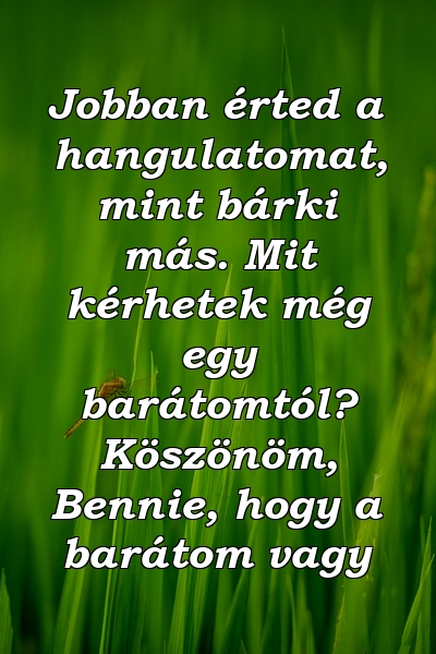 Jobban érted a hangulatomat, mint bárki más. Mit kérhetek még egy barátomtól? Köszönöm, Bennie, hogy a barátom vagy