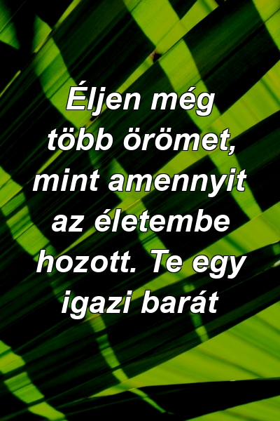 Éljen még több örömet, mint amennyit az életembe hozott. Te egy igazi barát