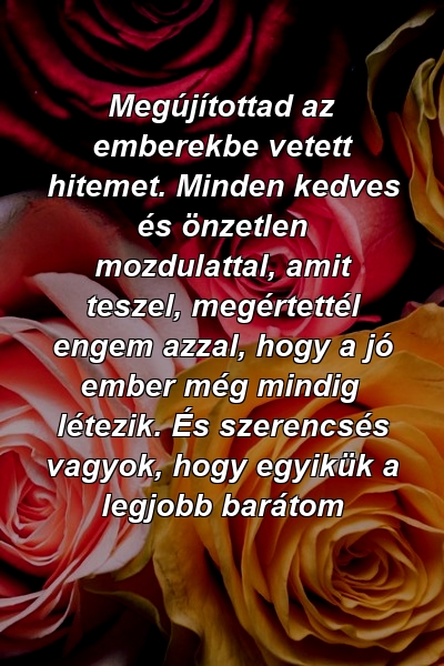 Megújítottad az emberekbe vetett hitemet. Minden kedves és önzetlen mozdulattal, amit teszel, megértettél engem azzal, hogy a jó ember még mindig létezik. És szerencsés vagyok, hogy egyikük a legjobb barátom