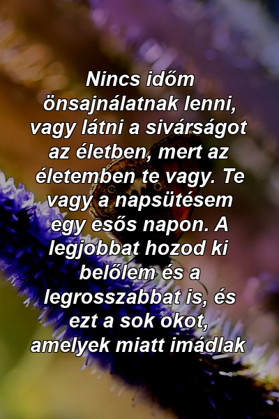 Nincs időm önsajnálatnak lenni, vagy látni a sivárságot az életben, mert az életemben te vagy. Te vagy a napsütésem egy esős napon. A legjobbat hozod ki belőlem és a legrosszabbat is, és ezt a sok okot, amelyek miatt imádlak