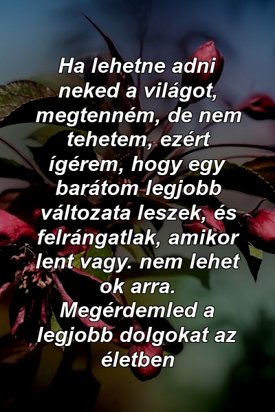 Ha lehetne adni neked a világot, megtenném, de nem tehetem, ezért ígérem, hogy egy barátom legjobb változata leszek, és felrángatlak, amikor lent vagy. nem lehet ok arra. Megérdemled a legjobb dolgokat az életben