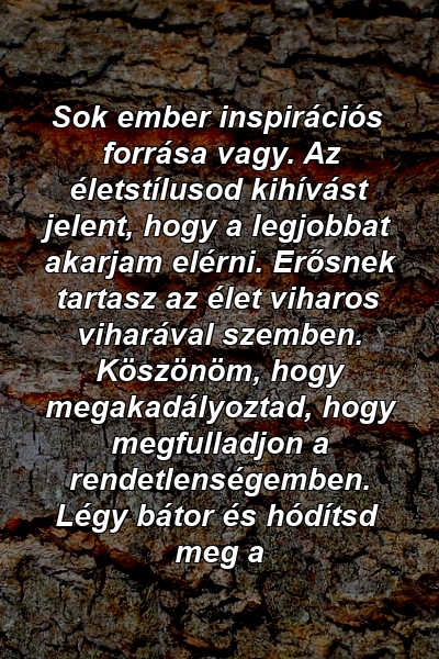 Sok ember inspirációs forrása vagy. Az életstílusod kihívást jelent, hogy a legjobbat akarjam elérni. Erősnek tartasz az élet viharos viharával szemben. Köszönöm, hogy megakadályoztad, hogy megfulladjon a rendetlenségemben. Légy bátor és hódítsd meg a