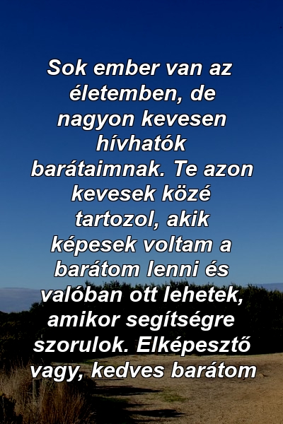 Sok ember van az életemben, de nagyon kevesen hívhatók barátaimnak. Te azon kevesek közé tartozol, akik képesek voltam a barátom lenni és valóban ott lehetek, amikor segítségre szorulok. Elképesztő vagy, kedves barátom