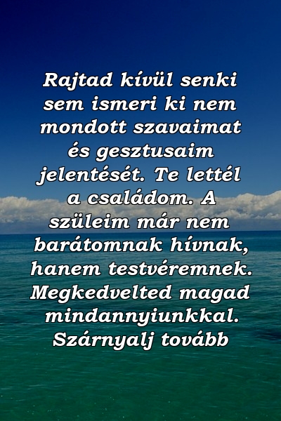 Rajtad kívül senki sem ismeri ki nem mondott szavaimat és gesztusaim jelentését. Te lettél a családom. A szüleim már nem barátomnak hívnak, hanem testvéremnek. Megkedvelted magad mindannyiunkkal. Szárnyalj tovább