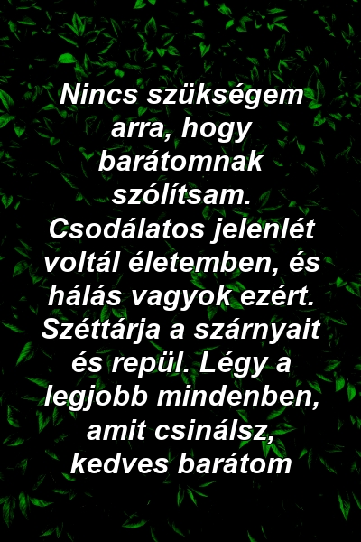 Nincs szükségem arra, hogy barátomnak szólítsam. Csodálatos jelenlét voltál életemben, és hálás vagyok ezért. Széttárja a szárnyait és repül. Légy a legjobb mindenben, amit csinálsz, kedves barátom