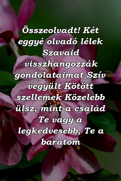 Összeolvadt! Két eggyé olvadó lélek Szavaid visszhangozzák gondolataimat Szív vegyült Kötött szellemek Közelebb ülsz, mint a család Te vagy a legkedvesebb, Te a barátom