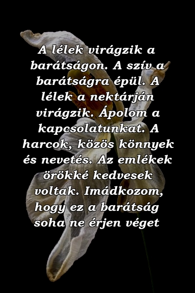 A lélek virágzik a barátságon. A szív a barátságra épül. A lélek a nektárján virágzik. Ápolom a kapcsolatunkat. A harcok, közös könnyek és nevetés. Az emlékek örökké kedvesek voltak. Imádkozom, hogy ez a barátság soha ne érjen véget