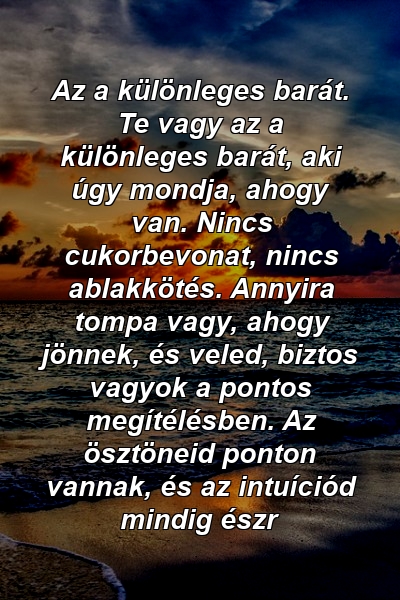 Az a különleges barát. Te vagy az a különleges barát, aki úgy mondja, ahogy van. Nincs cukorbevonat, nincs ablakkötés. Annyira tompa vagy, ahogy jönnek, és veled, biztos vagyok a pontos megítélésben. Az ösztöneid ponton vannak, és az intuíciód mindig észr