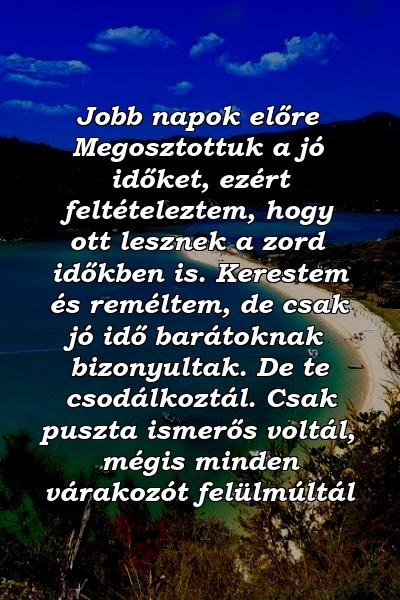 Jobb napok előre Megosztottuk a jó időket, ezért feltételeztem, hogy ott lesznek a zord időkben is. Kerestem és reméltem, de csak jó idő barátoknak bizonyultak. De te csodálkoztál. Csak puszta ismerős voltál, mégis minden várakozót felülmúltál