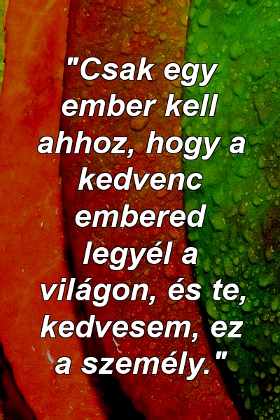 "Csak egy ember kell ahhoz, hogy a kedvenc embered legyél a világon, és te, kedvesem, ez a személy."