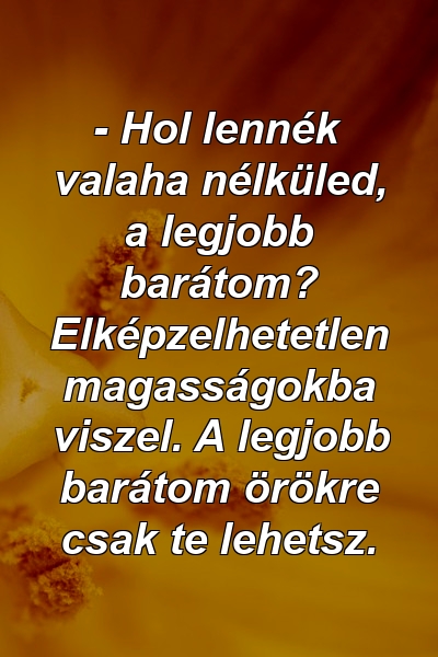 - Hol lennék valaha nélküled, a legjobb barátom? Elképzelhetetlen magasságokba viszel. A legjobb barátom örökre csak te lehetsz.