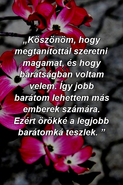 „Köszönöm, hogy megtanítottál szeretni magamat, és hogy barátságban voltam velem. Így jobb barátom lehettem más emberek számára. Ezért örökké a legjobb barátomká teszlek. ”