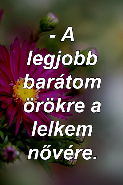 - A legjobb barátom örökre a lelkem nővére.