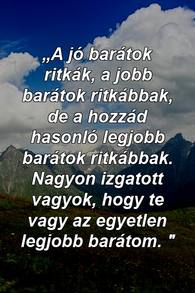 „A jó barátok ritkák, a jobb barátok ritkábbak, de a hozzád hasonló legjobb barátok ritkábbak. Nagyon izgatott vagyok, hogy te vagy az egyetlen legjobb barátom. "