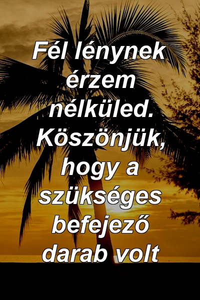 Fél lénynek érzem nélküled. Köszönjük, hogy a szükséges befejező darab volt