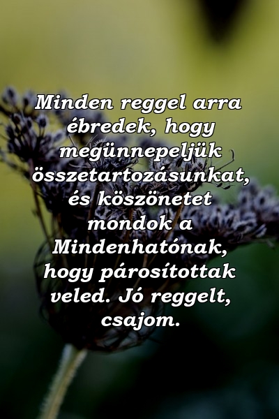 Minden reggel arra ébredek, hogy megünnepeljük összetartozásunkat, és köszönetet mondok a Mindenhatónak, hogy párosítottak veled. Jó reggelt, csajom.