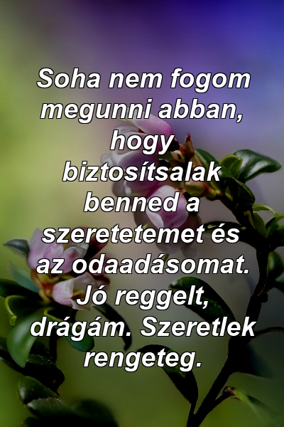 Soha nem fogom megunni abban, hogy biztosítsalak benned a szeretetemet és az odaadásomat. Jó reggelt, drágám. Szeretlek rengeteg.