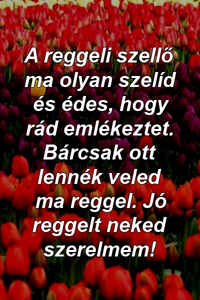 A reggeli szellő ma olyan szelíd és édes, hogy rád emlékeztet. Bárcsak ott lennék veled ma reggel. Jó reggelt neked szerelmem!