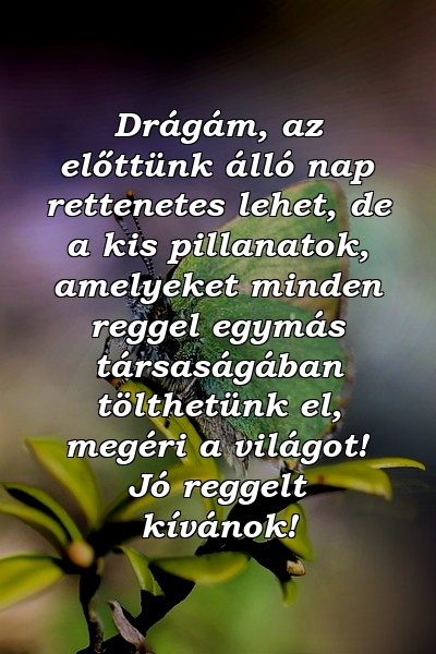 Drágám, az előttünk álló nap rettenetes lehet, de a kis pillanatok, amelyeket minden reggel egymás társaságában tölthetünk el, megéri a világot! Jó reggelt kívánok!