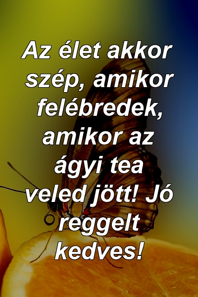 Az élet akkor szép, amikor felébredek, amikor az ágyi tea veled jött! Jó reggelt kedves!