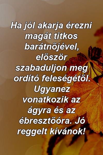 Ha jól akarja érezni magát titkos barátnőjével, először szabaduljon meg ordító feleségétől. Ugyanez vonatkozik az ágyra és az ébresztőóra. Jó reggelt kívánok!