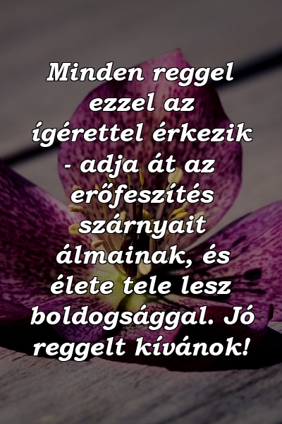 Minden reggel ezzel az ígérettel érkezik - adja át az erőfeszítés szárnyait álmainak, és élete tele lesz boldogsággal. Jó reggelt kívánok!