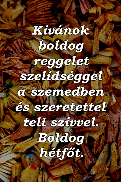 Kívánok boldog reggelet szelídséggel a szemedben és szeretettel teli szívvel. Boldog hétfőt.