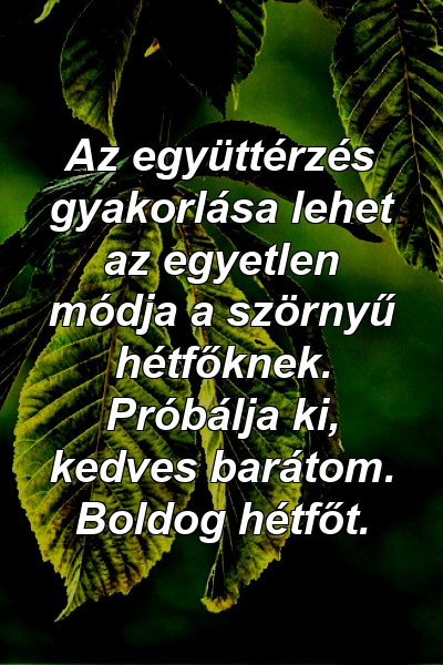 Az együttérzés gyakorlása lehet az egyetlen módja a szörnyű hétfőknek. Próbálja ki, kedves barátom. Boldog hétfőt.