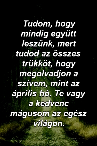 Tudom, hogy mindig együtt leszünk, mert tudod az összes trükköt, hogy megolvadjon a szívem, mint az április hó. Te vagy a kedvenc mágusom az egész világon.