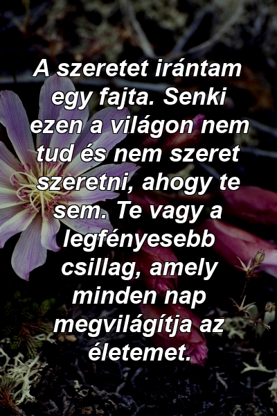 A szeretet irántam egy fajta. Senki ezen a világon nem tud és nem szeret szeretni, ahogy te sem. Te vagy a legfényesebb csillag, amely minden nap megvilágítja az életemet.