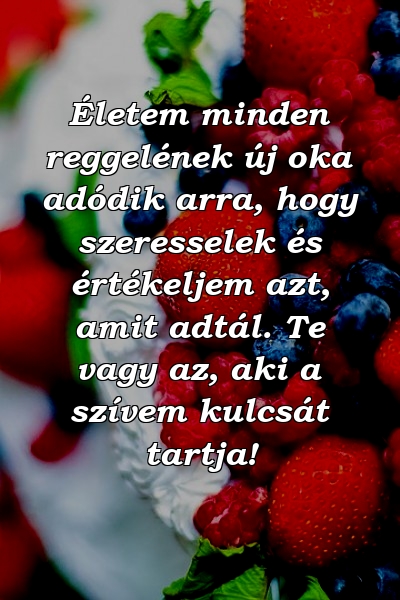 Életem minden reggelének új oka adódik arra, hogy szeresselek és értékeljem azt, amit adtál. Te vagy az, aki a szívem kulcsát tartja!