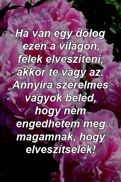 Ha van egy dolog ezen a világon, félek elveszíteni, akkor te vagy az. Annyira szerelmes vagyok beléd, hogy nem engedhetem meg magamnak, hogy elveszítselek!