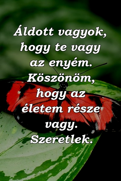 Áldott vagyok, hogy te vagy az enyém. Köszönöm, hogy az életem része vagy. Szeretlek.