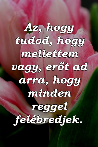 Az, hogy tudod, hogy mellettem vagy, erőt ad arra, hogy minden reggel felébredjek.