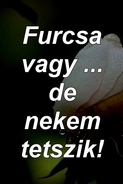 Furcsa vagy ... de nekem tetszik!